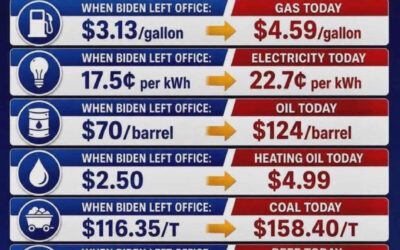 Econ Facts – Trump Effect